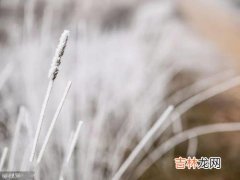 暖心60句 大雪季节问候语,下雪注意保暖的问候语