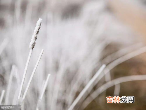 暖心60句 大雪季节问候语,下雪注意保暖的问候语