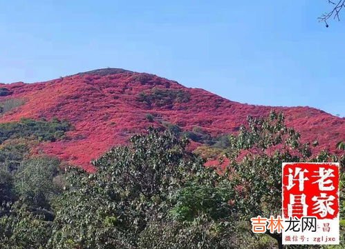 禹州为啥叫禹州,禹州市的历史