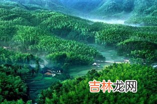 蜀南竹海在哪里,我想问一下8月份适合去哪里旅游国内