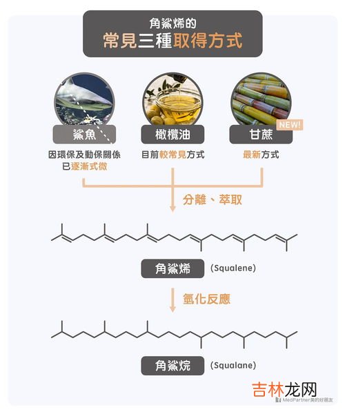 squalene角鲨烯怎么服用,角鲨烯可以空腹吃吗 角鲨烯饭前吃还是饭后吃