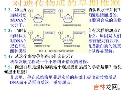 人的遗传物质存在于哪里,人体的遗传物质主要存在于？？