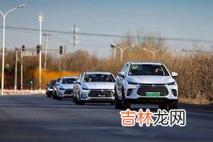 byd是什么梗,byd网络缩写梗