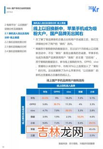 2021双十二全国销量前十名手机 中国手机品牌拓展排行榜,手机销售量排行榜2021国产