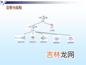 微波炉原理,微波炉的原理是什么？