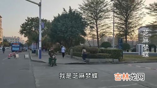 蓝绿厂为什么不好,为什么都说蓝绿厂不值得买，但销量却比华为还高