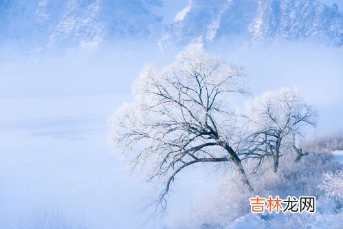 下雪天是开暖风还是冷风,下雪天开车开暖风还是冷风