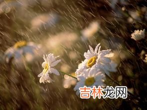 梅雨季节要到了,请问哪里有生石灰买,一般哪里可以购买到生石灰