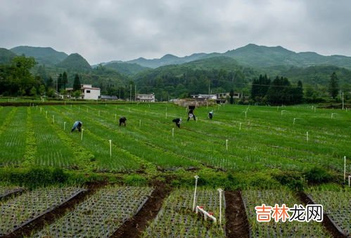 四川妈妈镇哪个县,妈妈镇的建制沿革