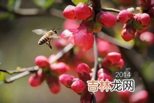 烟花三月下扬州指哪里,烟花三月下扬州的扬州是现在哪里