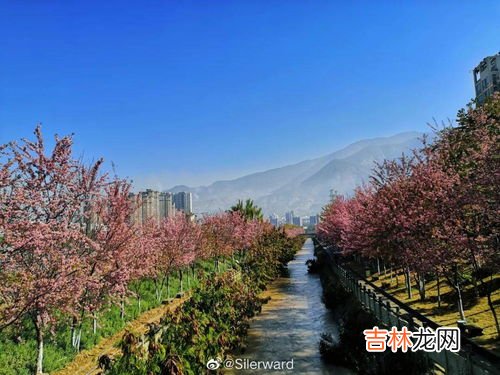 米易海拔多少米,盐边的房价为什么比米易低