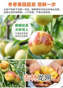 3月应季水果是什么,三月份有什么水果 三月份当季水果有哪些