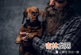 留有胡须的动物,胡须的动物是什么生肖？