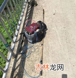 电鱼为什么会电死人,电鱼机能电死人吗？为什么？