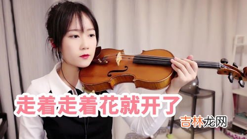 小提琴独奏花儿为什么这样红,小提琴曲 桑丽拿 花儿为什么这样红