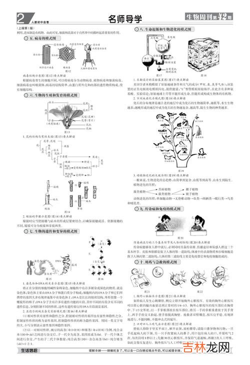 学好生物的方法,生物怎么学才能学好