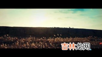 霍去病死的时候多少岁,霍去病死于多少岁