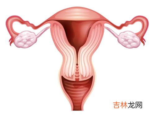 一个月没有避孕为什么怀不上,没有避孕为什么不能怀孕