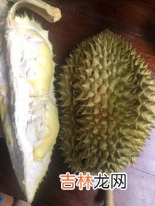 榴莲没熟剥开了怎么办,榴莲没熟打开后怎么办壳已经丢掉了