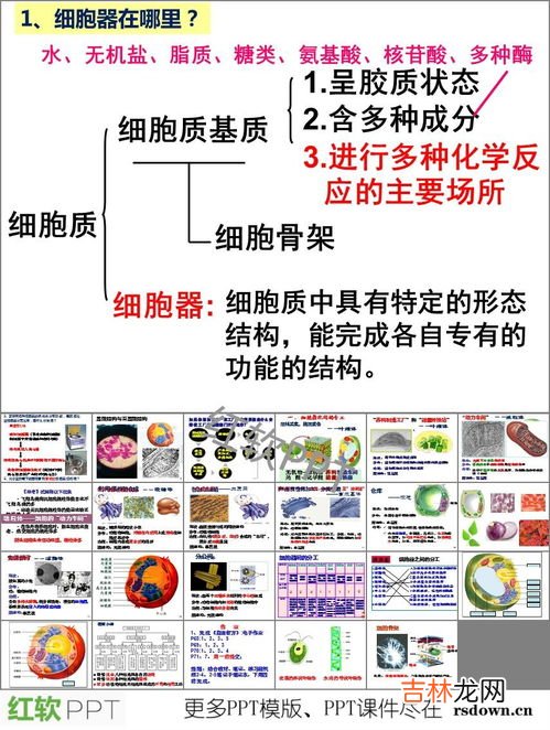 分工与合作的关系,举例说一说社会各行各业之间是怎样进行分工与合作的？