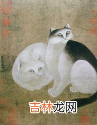 家里为什么不能养双猫,不能养两只猫有什么忌讳,千万不要养两只猫