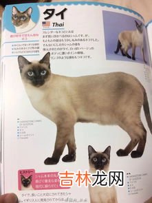 什么动物猜拳永远不会有输赢,什么动物猜拳永远不会有输赢？从生肖里选！说出为什么是它！