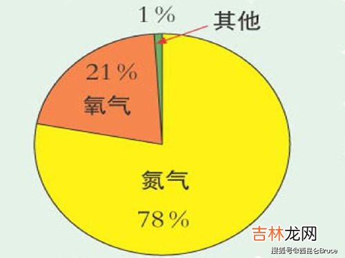 空气的成分是什么,空气的成分比例是什么？