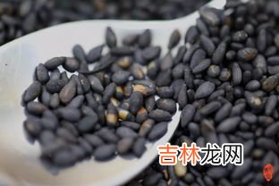 九蒸九晒芝麻丸的做法大全,九蒸九晒黑芝麻丸制作方法