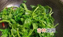 春菜是什么菜,“春菜”是什么菜?