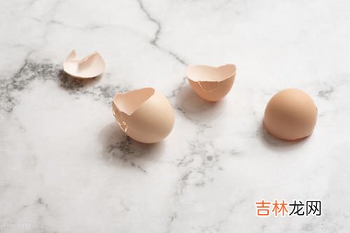 鸡蛋壳属于什么垃圾,鸡蛋壳属于什么垃圾