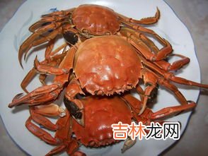 螃蟹喜欢吃什么东西,螃蟹吃什么食物？