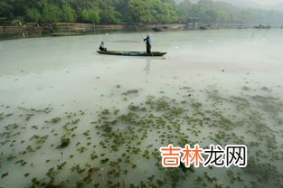 水污染的原因,造成水污染的原因有哪些