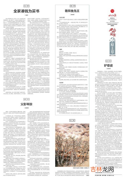 属于副刊体裁的是,《新闻体裁一般有哪三种》