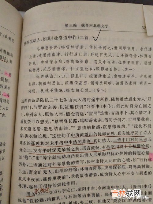 词牌名是什么,什么是词牌名？