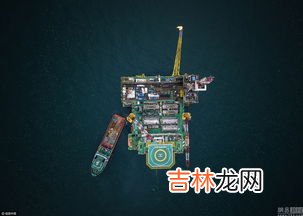 石油的组成,石油的化学组成