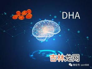 葆婴海藻油胶囊dha什么时候吃,孩子什么时候吃DHA最好