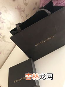 bv全称,意大利品牌bv的全名是什么啊