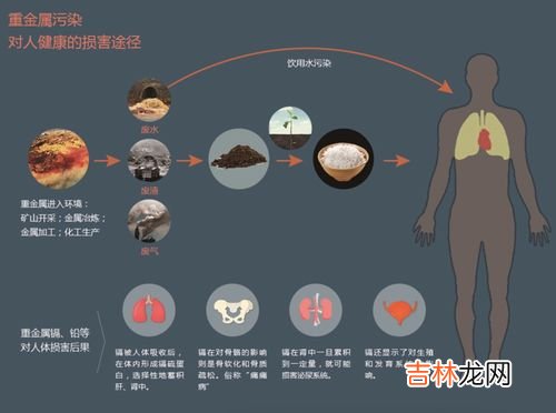 生活环境污染物进入体内的主要途径,PM2.5等空气污染物进入人体内的途径