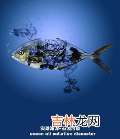 海洋污染通常是指什么,海洋污染有哪些