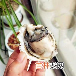 袋鼠精和生蚝精哪个效果好,Dr. Nature自然博士的生蚝袋鼠精为什么被这么多人选择?