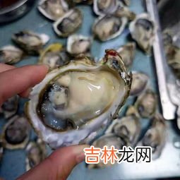 袋鼠精和生蚝精哪个效果好,Dr. Nature自然博士的生蚝袋鼠精为什么被这么多人选择?
