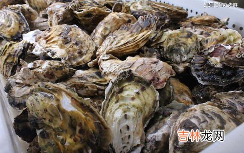 袋鼠精和生蚝精哪个效果好,Dr. Nature自然博士的生蚝袋鼠精为什么被这么多人选择?