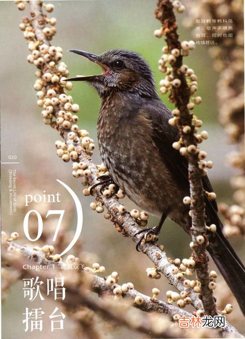 水管鸣叫解决方法没开水龙头 水管发出鸣叫声是什么情况,水管鸣叫怎么解决