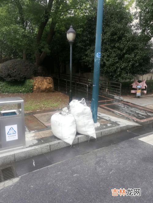 城市处理垃圾方式以什么为主,从世界范围来看,城市处理垃圾方式以什么为主