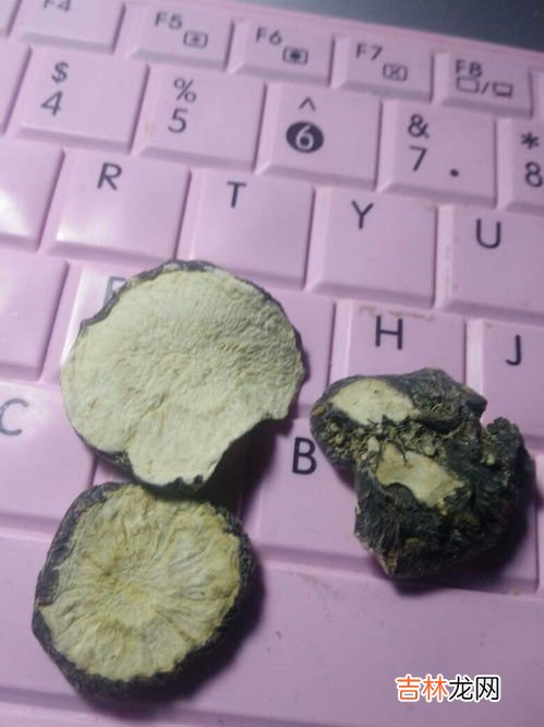 玛咖片怎么样,玛咖片的功效与作用有哪些？