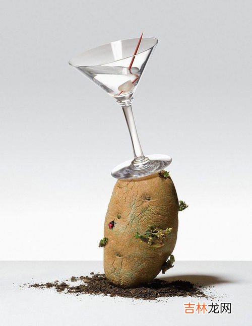 伏特加是哪国的国酒,伏特加起源于哪个国家?