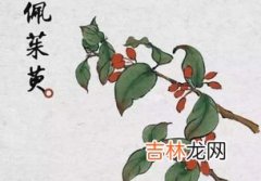 插茱萸的来历,重阳节为什么要插茱萸