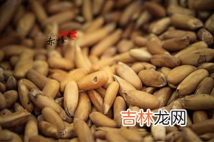 赤峰特产,赤峰有什么特产