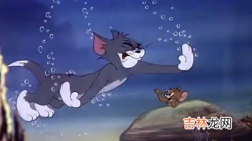老鼠会不会游泳,老鼠到底会不会游泳?