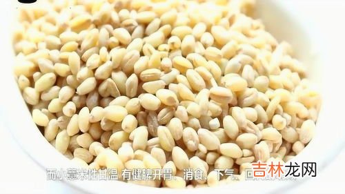 薏仁的功效与作用,薏仁的功效和作用分别是？